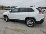 2019 Jeep Cherokee Latitude White vin: 1C4PJLCBXKD412027