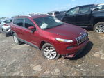 2014 Jeep Cherokee Latitude Красный vin: 1C4PJLCS5EW314578