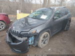 2019 Jeep Cherokee Limited Fwd Gray vin: 1C4PJLDB3KD403040