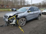 2019 Jeep Cherokee Limited Gray vin: 1C4PJLDB8KD380869