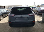 2019 Jeep Cherokee Latitude Plus Gray vin: 1C4PJLLB0KD434795