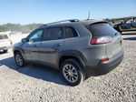 2021 Jeep Cherokee Latitude Plus Gray vin: 1C4PJLLB4MD164411