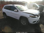 2019 Jeep Cherokee Latitude Plus White vin: 1C4PJLLB6KD380774