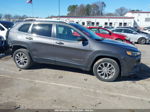 2021 Jeep Cherokee Latitude Plus Fwd Gray vin: 1C4PJLLB9MD196139