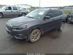 2019 Jeep Cherokee Latitude Plus Gray vin: 1C4PJLLBXKD109667