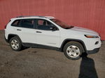 2014 Jeep Cherokee Sport White vin: 1C4PJMAS7EW272570