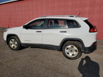 2014 Jeep Cherokee Sport White vin: 1C4PJMAS7EW272570