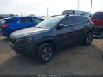 2019 Jeep Cherokee Trailhawk 4x4 Серый vin: 1C4PJMBN8KD486872