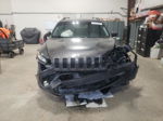 2014 Jeep Cherokee Trailhawk Gray vin: 1C4PJMBS1EW137650