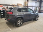 2014 Jeep Cherokee Trailhawk Gray vin: 1C4PJMBS1EW137650