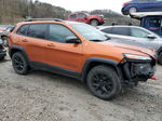 2016 Jeep Cherokee Trailhawk Оранжевый vin: 1C4PJMBS2GW300762