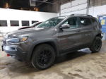 2019 Jeep Cherokee Trailhawk Gray vin: 1C4PJMBX0KD182646