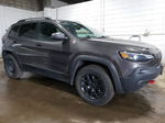 2019 Jeep Cherokee Trailhawk Gray vin: 1C4PJMBX0KD182646