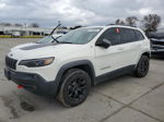 2019 Jeep Cherokee Trailhawk Белый vin: 1C4PJMBX1KD245303