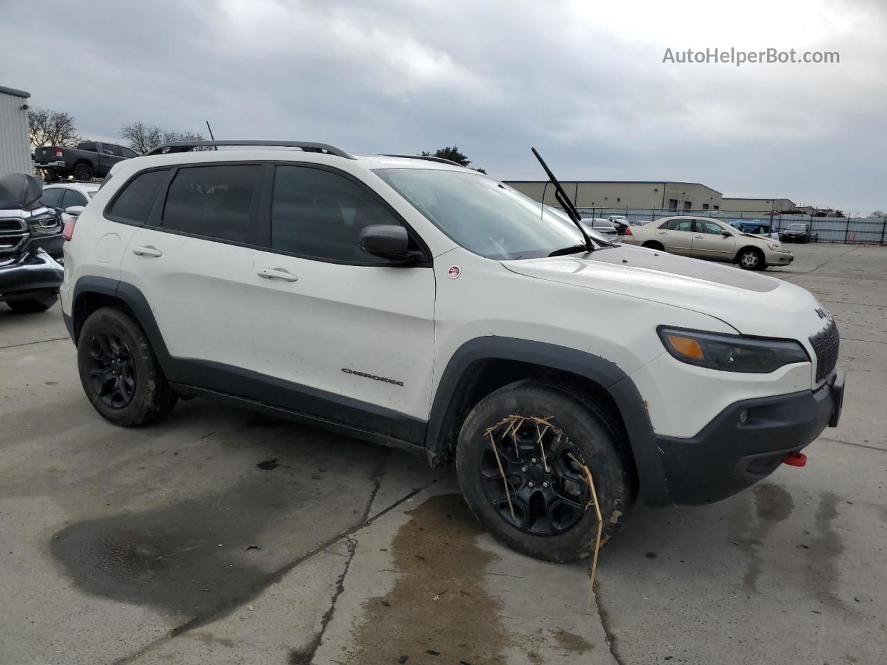 2019 Jeep Cherokee Trailhawk Белый vin: 1C4PJMBX1KD245303