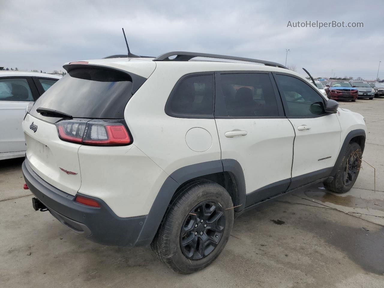 2019 Jeep Cherokee Trailhawk Белый vin: 1C4PJMBX1KD245303