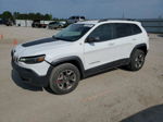 2019 Jeep Cherokee Trailhawk White vin: 1C4PJMBX3KD306991