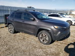 2019 Jeep Cherokee Trailhawk Gray vin: 1C4PJMBX3KD350697