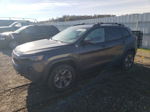 2019 Jeep Cherokee Trailhawk Gray vin: 1C4PJMBX3KD350697