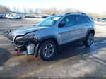 2019 Jeep Cherokee Trailhawk 4x4 Gray vin: 1C4PJMBX4KD216894