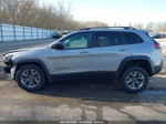 2019 Jeep Cherokee Trailhawk 4x4 Gray vin: 1C4PJMBX4KD216894