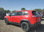 2019 Jeep Cherokee Trailhawk Красный vin: 1C4PJMBX4KD329101