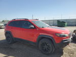 2019 Jeep Cherokee Trailhawk Красный vin: 1C4PJMBX4KD329101