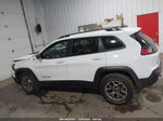 2021 Jeep Cherokee Trailhawk 4x4 White vin: 1C4PJMBX4MD123814