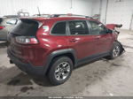 2019 Jeep Cherokee Trailhawk 4x4 Красный vin: 1C4PJMBX5KD481694