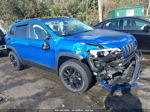 2019 Jeep Cherokee Trailhawk Elite 4x4 Синий vin: 1C4PJMBX6KD330556