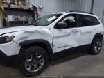 2019 Jeep Cherokee Trailhawk 4x4 White vin: 1C4PJMBX6KD469392