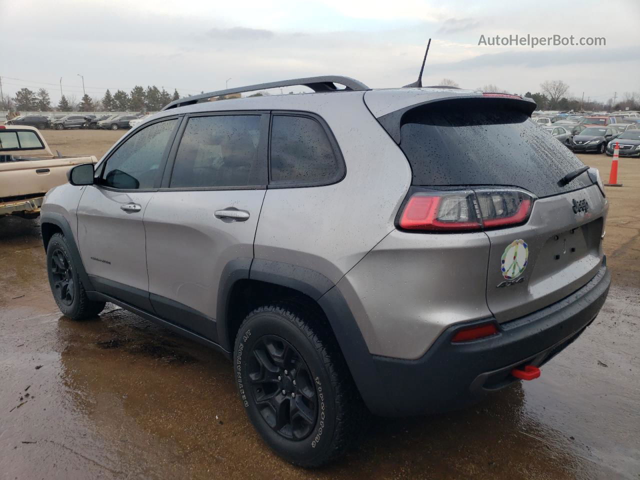 2019 Jeep Cherokee Trailhawk Gray vin: 1C4PJMBX7KD227047