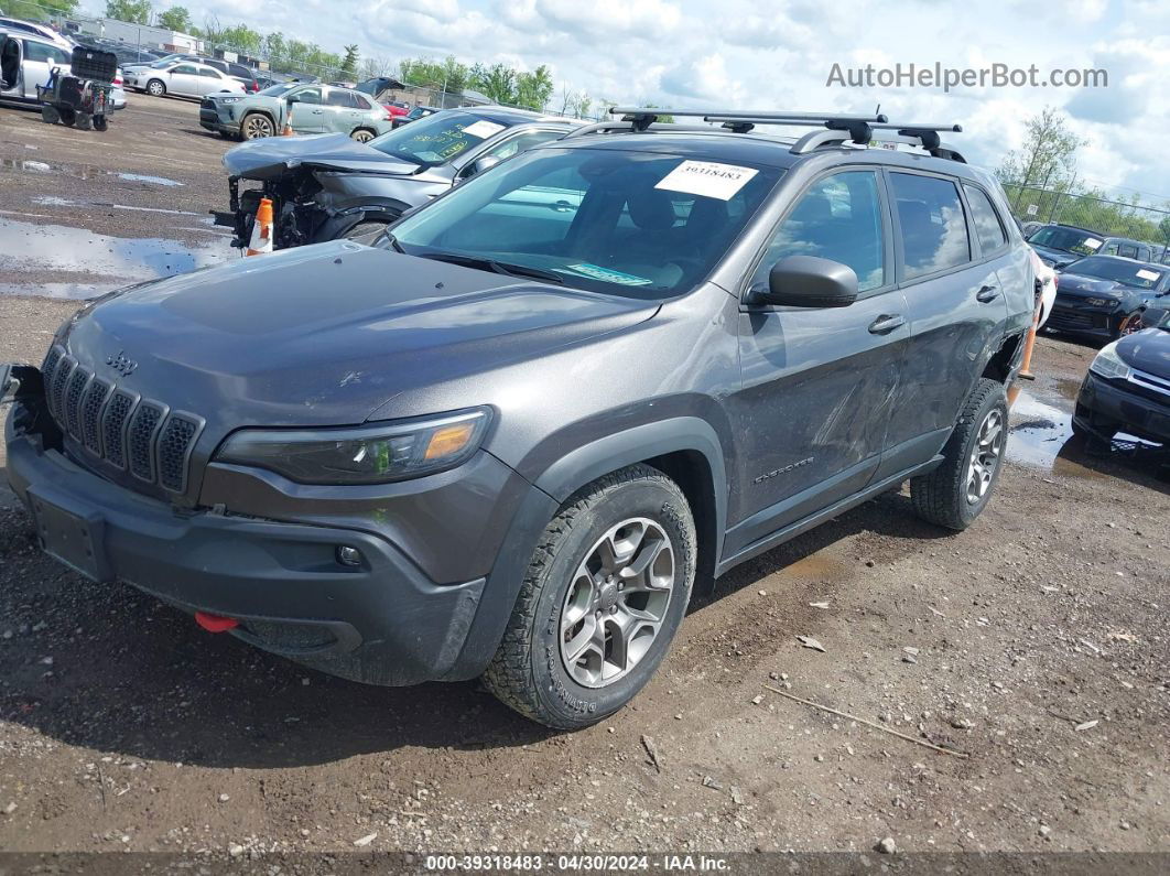 2021 Jeep Cherokee Trailhawk 4x4 Серый vin: 1C4PJMBX7MD146388