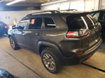 2021 Jeep Cherokee Trailhawk Gray vin: 1C4PJMBX7MD252954