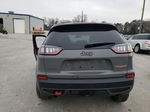 2019 Jeep Cherokee Trailhawk Gray vin: 1C4PJMBX9KD436970