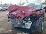 2021 Jeep Cherokee Latitude 4x4 Бордовый vin: 1C4PJMCB1MD191586