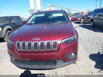 2019 Jeep Cherokee Latitude 4x4 Красный vin: 1C4PJMCB9KD291383