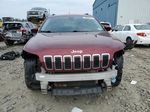 2019 Jeep Cherokee Latitude Red vin: 1C4PJMCBXKD343944