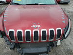 2014 Jeep Cherokee Latitude Красный vin: 1C4PJMCS1EW192954