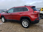 2014 Jeep Cherokee Latitude Red vin: 1C4PJMCS2EW246620