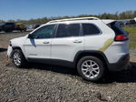 2014 Jeep Cherokee Latitude Белый vin: 1C4PJMCS7EW125758