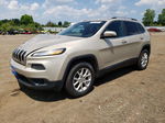 2014 Jeep Cherokee Latitude Gold vin: 1C4PJMCS7EW264322