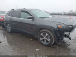 2019 Jeep Cherokee Limited 4x4 Золотой vin: 1C4PJMDN0KD236569