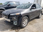 2015 Jeep Cherokee Limited Серый vin: 1C4PJMDS6FW752175