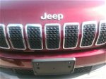 2019 Jeep Cherokee Limited Темно-бордовый vin: 1C4PJMDX0KD102288