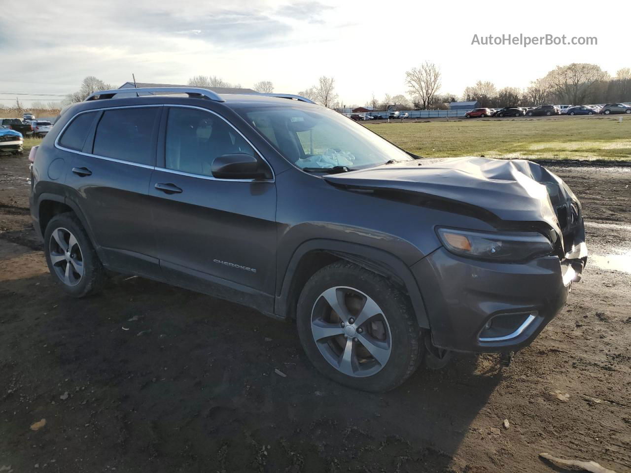 2019 Jeep Cherokee Limited Серый vin: 1C4PJMDX0KD408861