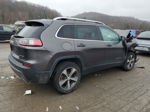 2019 Jeep Cherokee Limited Серый vin: 1C4PJMDX1KD351120