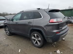 2019 Jeep Cherokee Limited Серый vin: 1C4PJMDX1KD351120