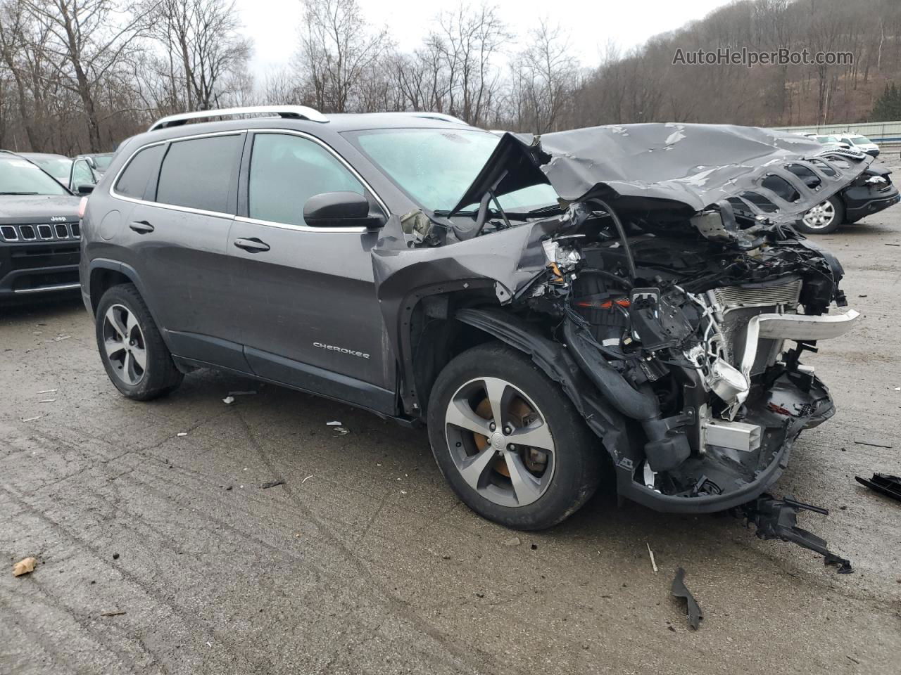 2019 Jeep Cherokee Limited Серый vin: 1C4PJMDX1KD351120