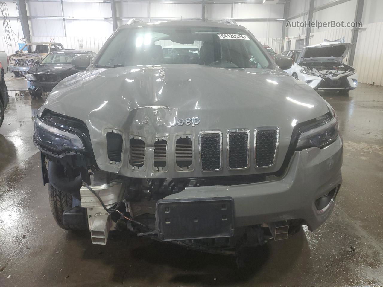 2019 Jeep Cherokee Limited Серый vin: 1C4PJMDX6KD473441